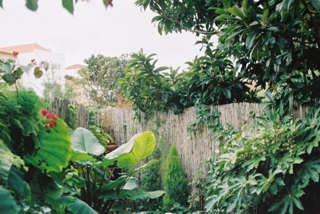 פורטו Apartment With Private Garden חדר תמונה